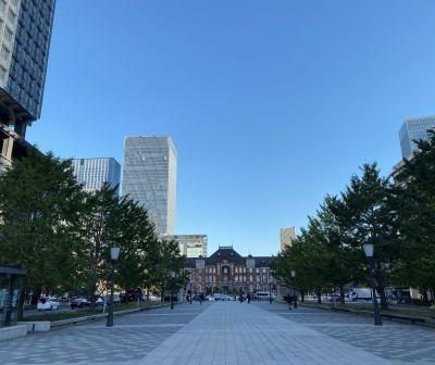 東京駅紅葉