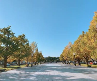 東京駅紅葉