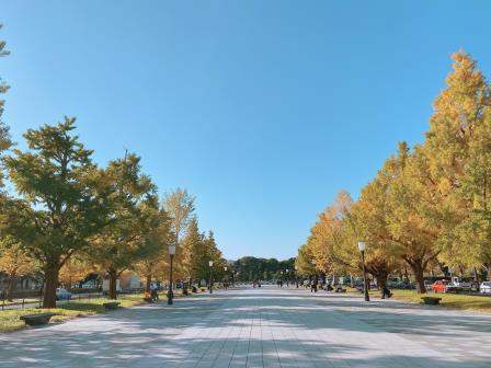 東京駅紅葉