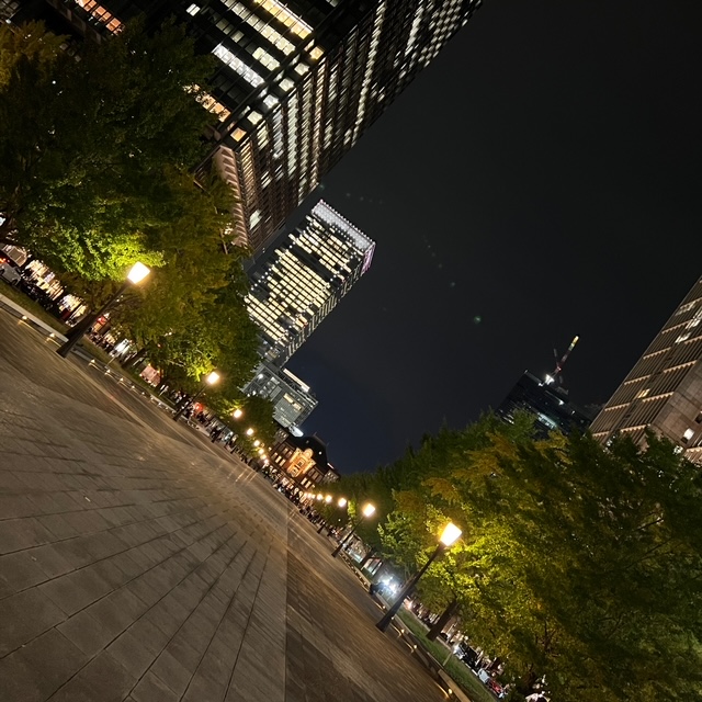 東京駅紅葉